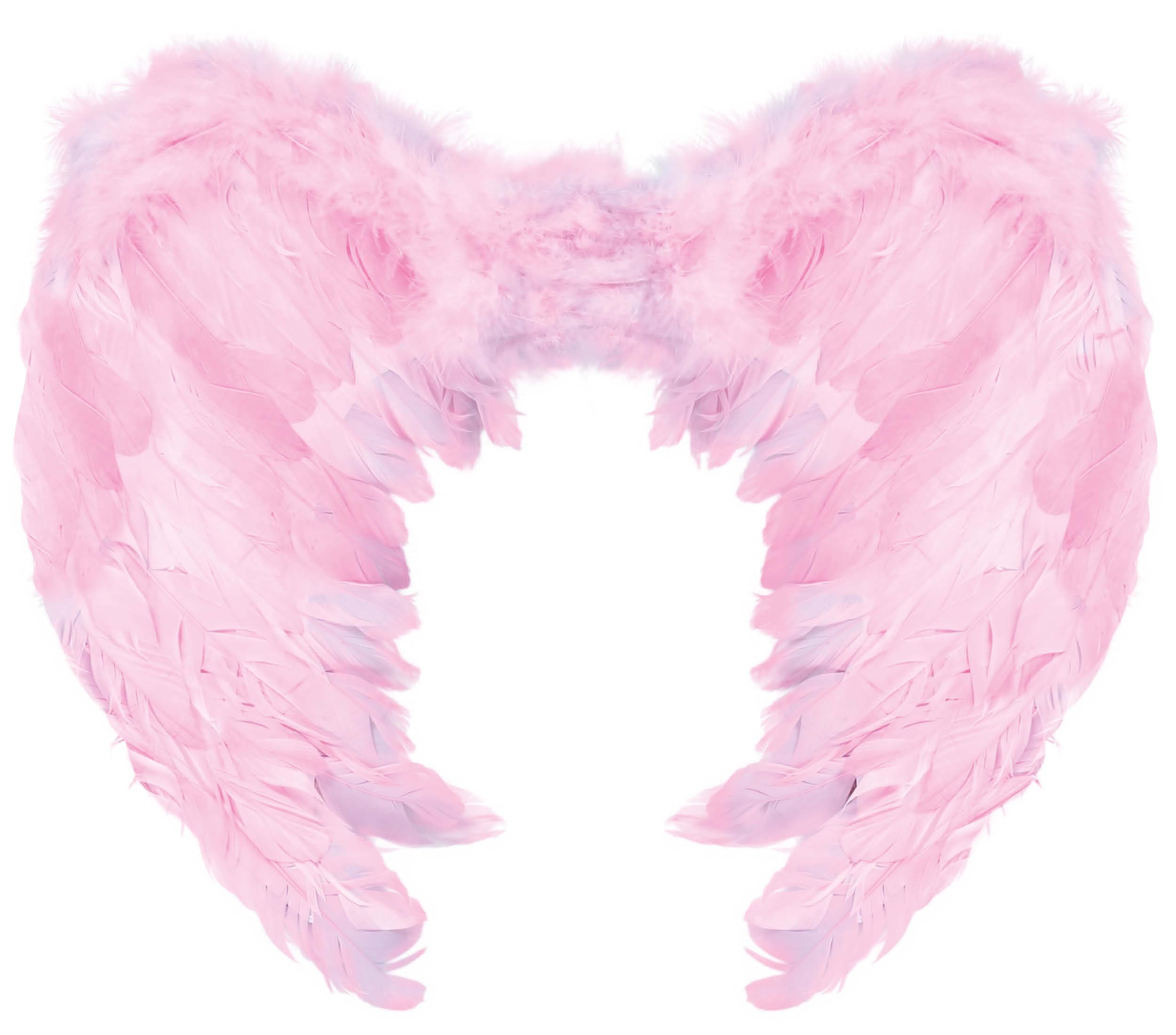 Pink fjervinger, 60 × 40 cm