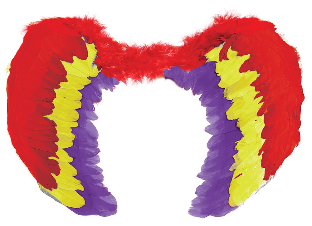Flerfarvede fjervinger 60 × 40 cm