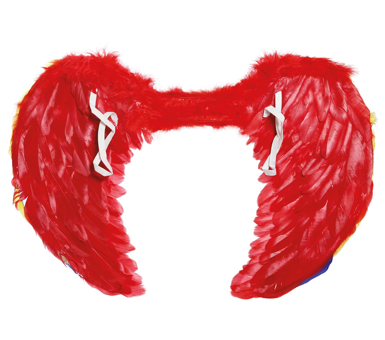Flerfarvede fjervinger 60 × 40 cm