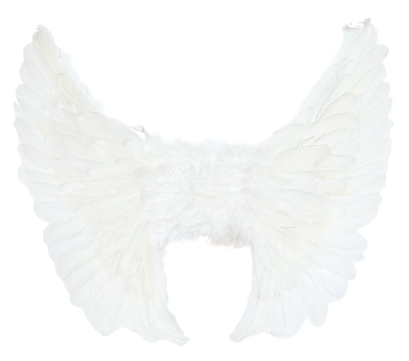 Hvide fjervinger 55 × 45 cm