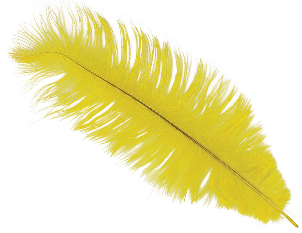 Pose med 12 strudsefjer, 25-35 cm, gul