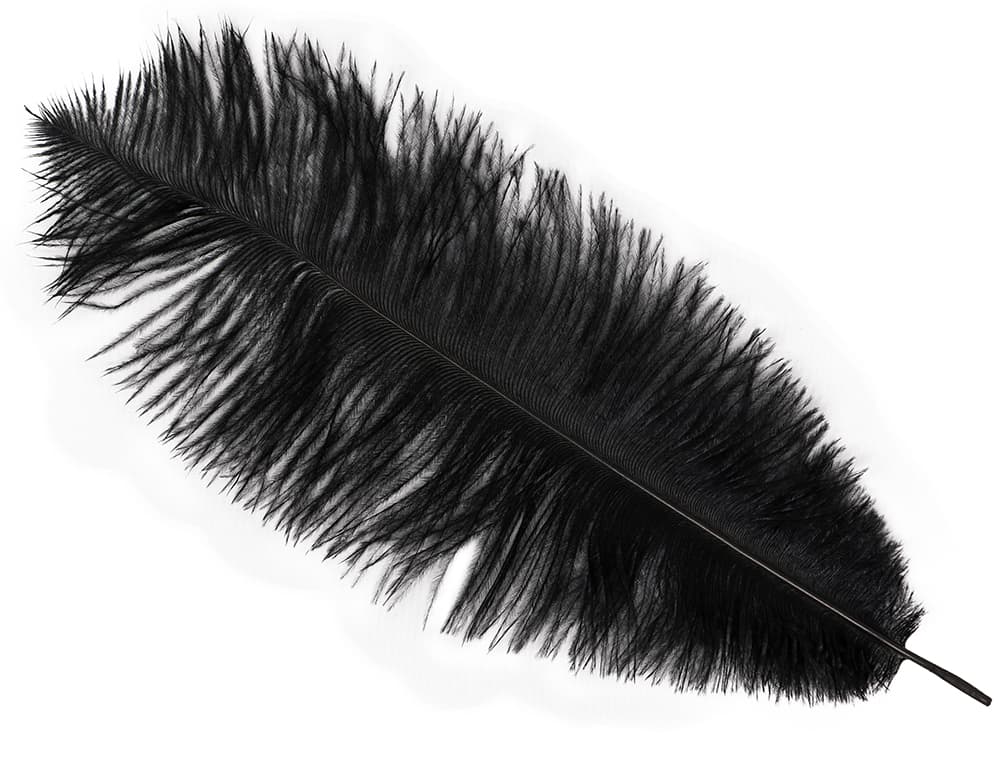 Pose med 12 strudsefjer, 25-35 cm, sort
