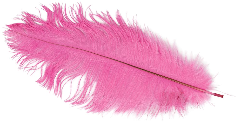 Pose med 12 strudsefjer, 25-35 cm, pink