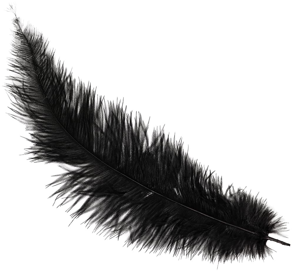 Pose med 12 strudsefjer, 35-45 cm, sort