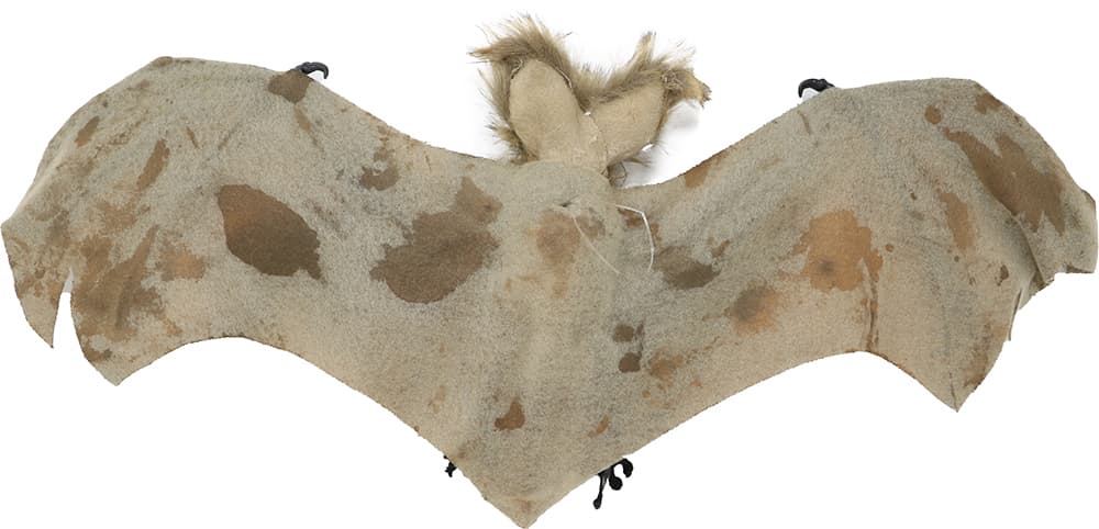 Flagermus, 60 cm
