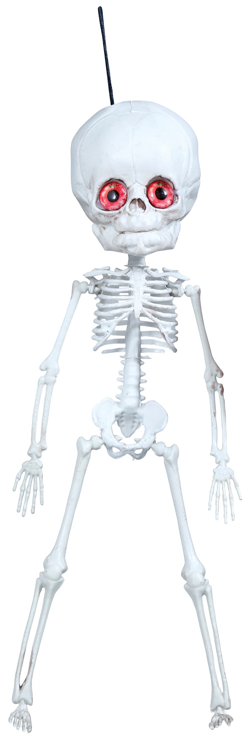 Hængende skelet, 40 cm