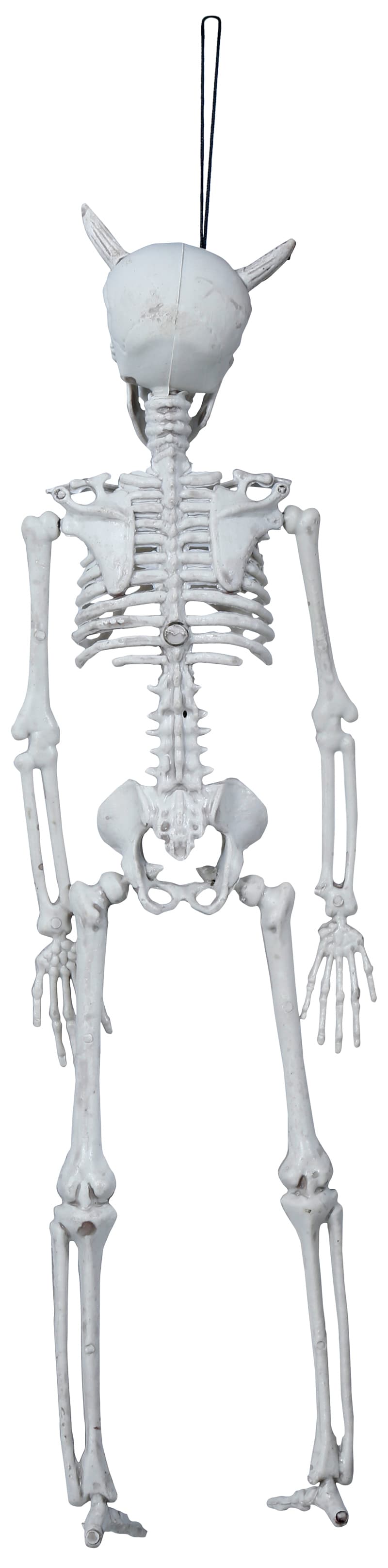 Hængende djævleskelet, 40 cm