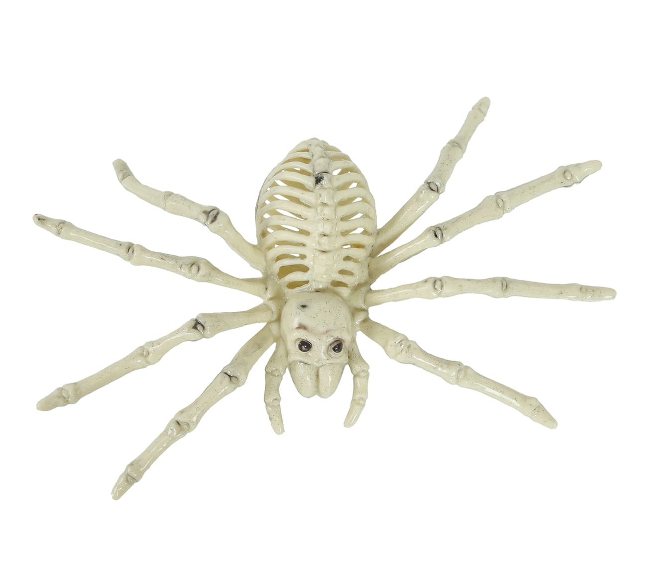 Edderkoppeskelet 24 cm