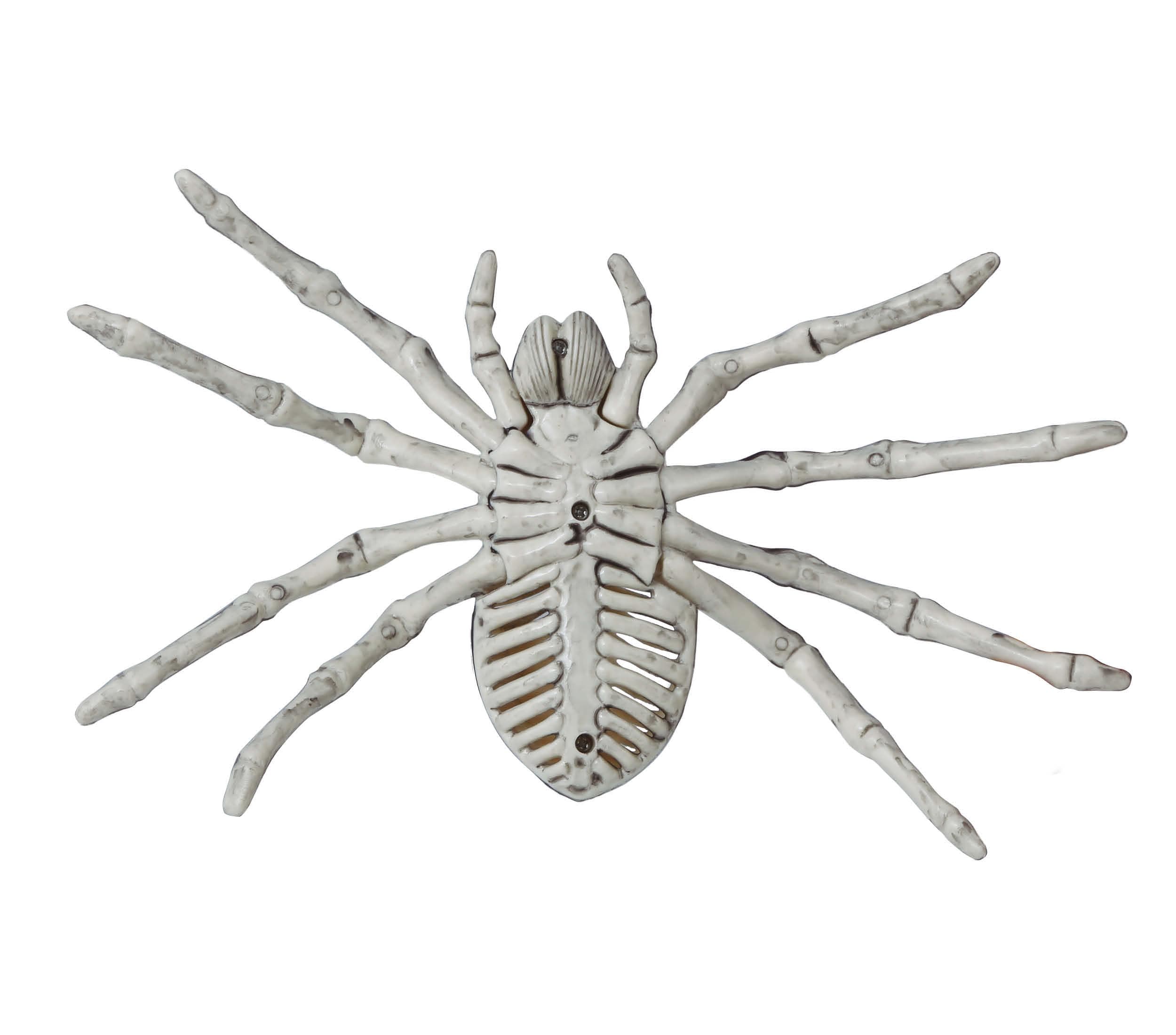 Edderkoppeskelet 24 cm