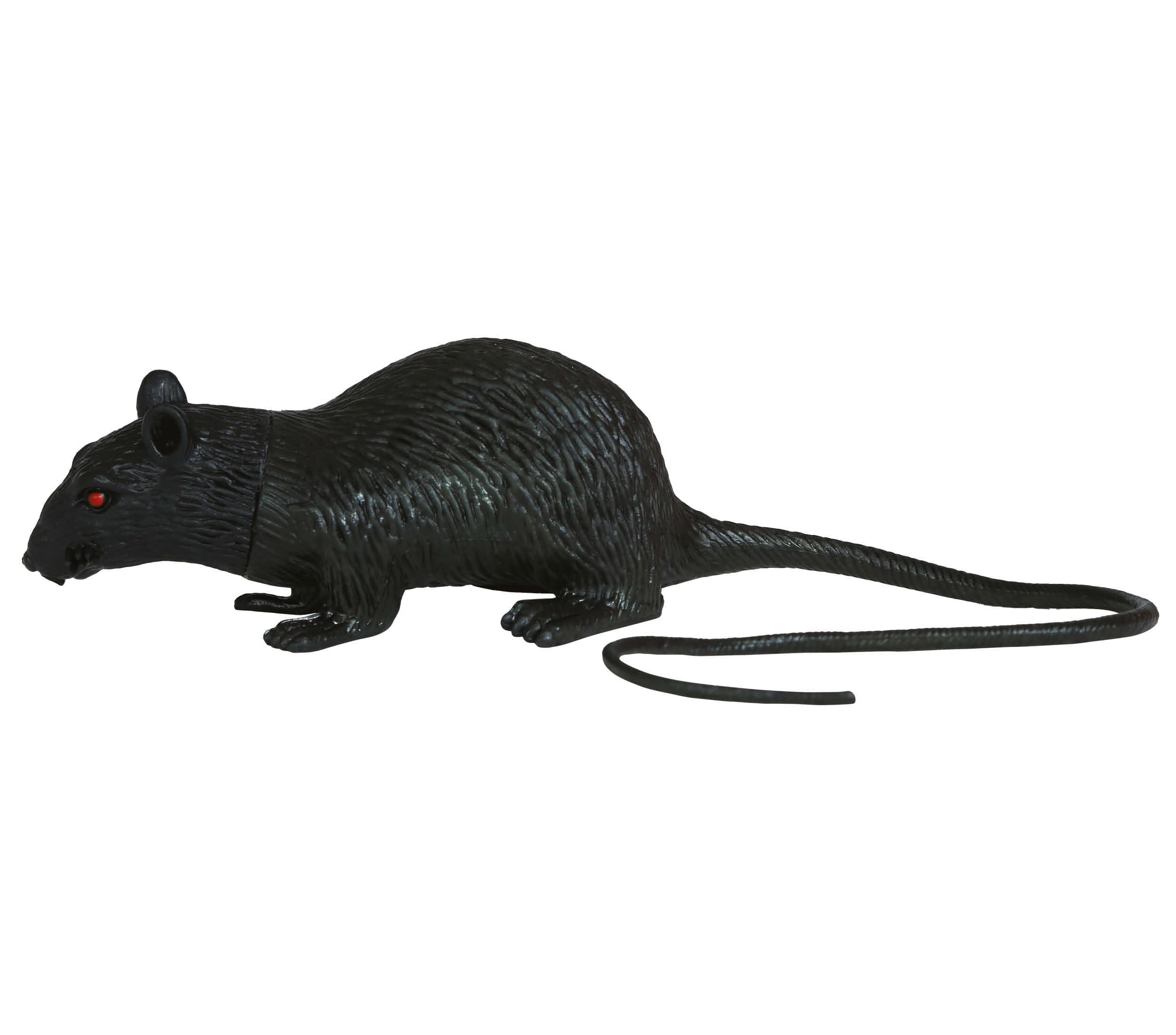Rotte 15 cm, latex
