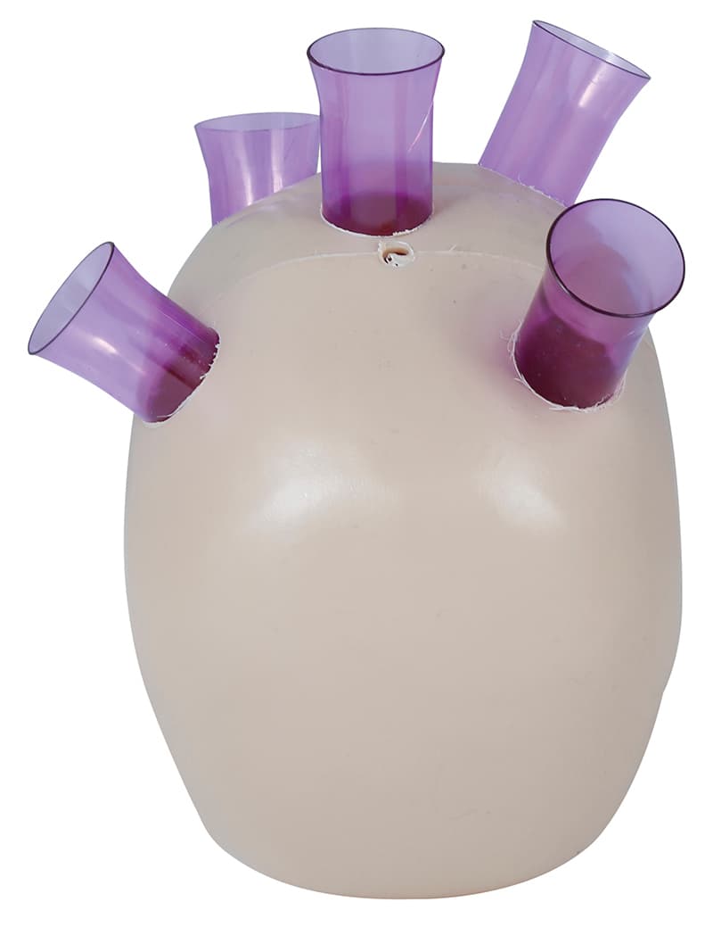 Kranie med shotglas 20 cm