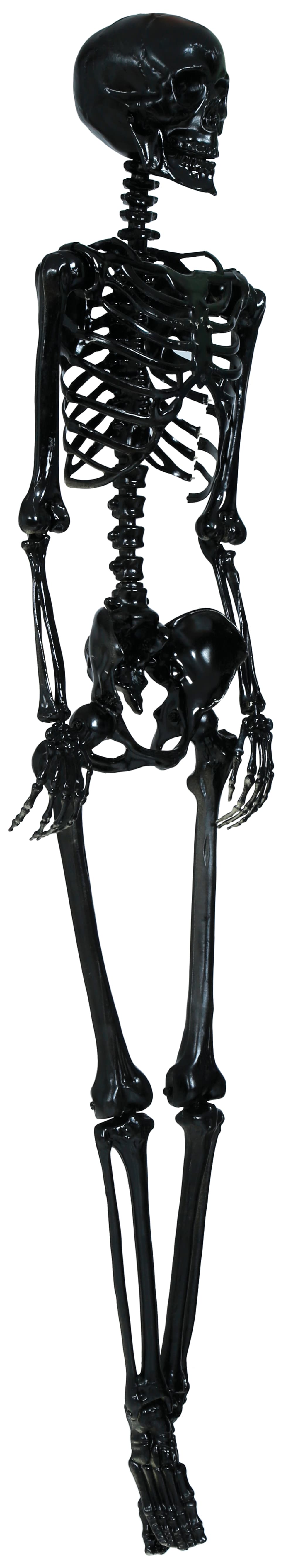 Sort skelet, 90 cm