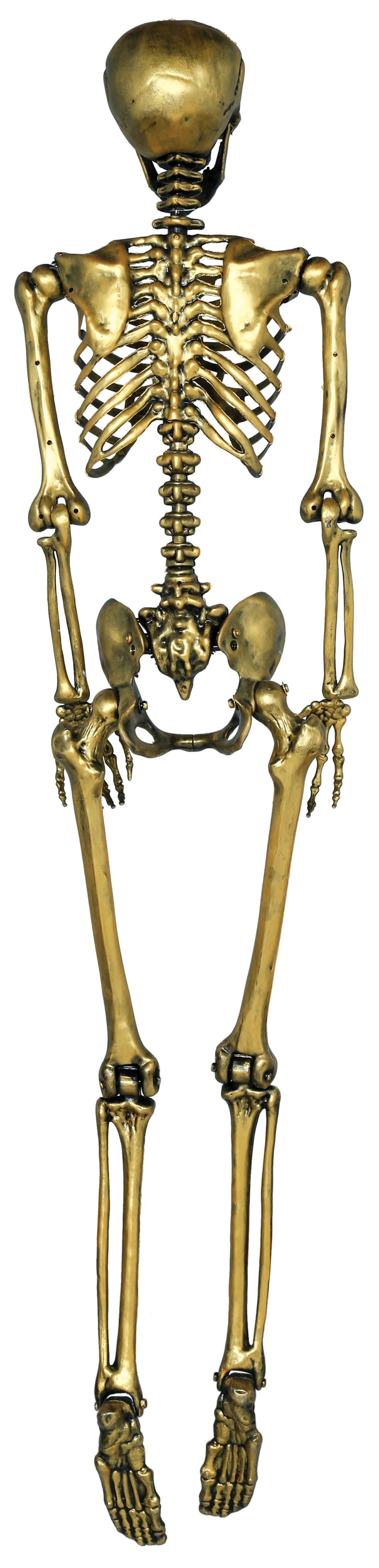 Guldskelet, 90 cm