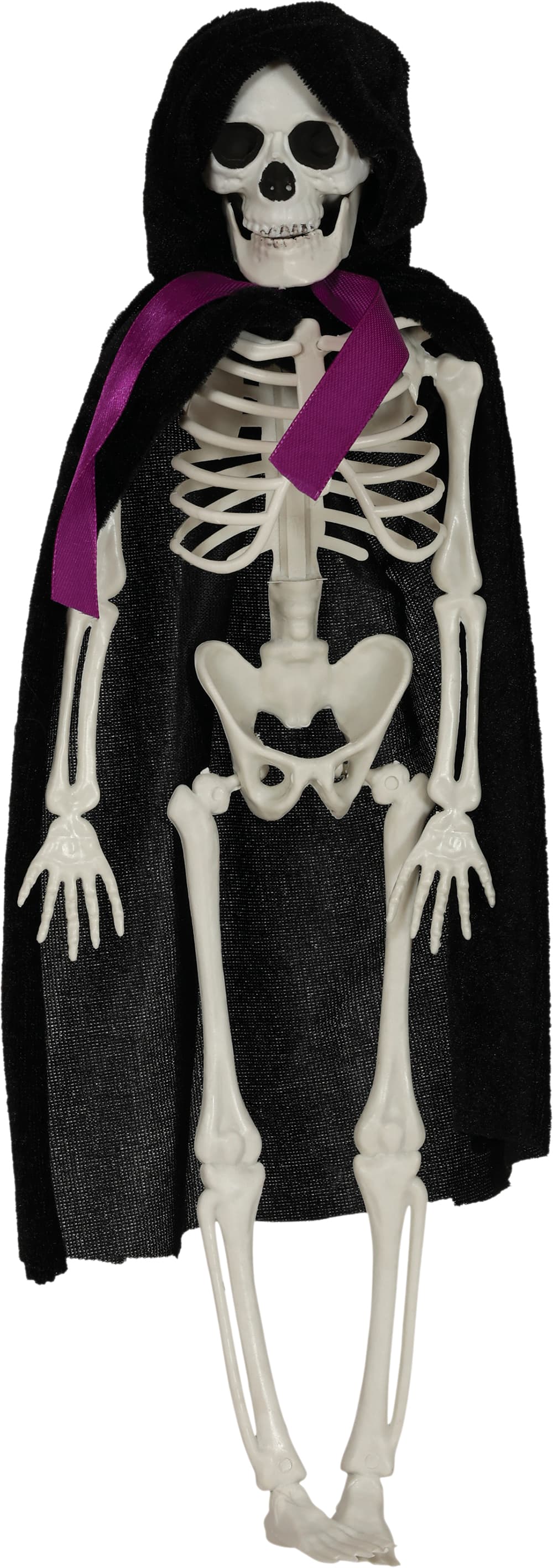 Hængende brudgomsskelet, 43 cm
