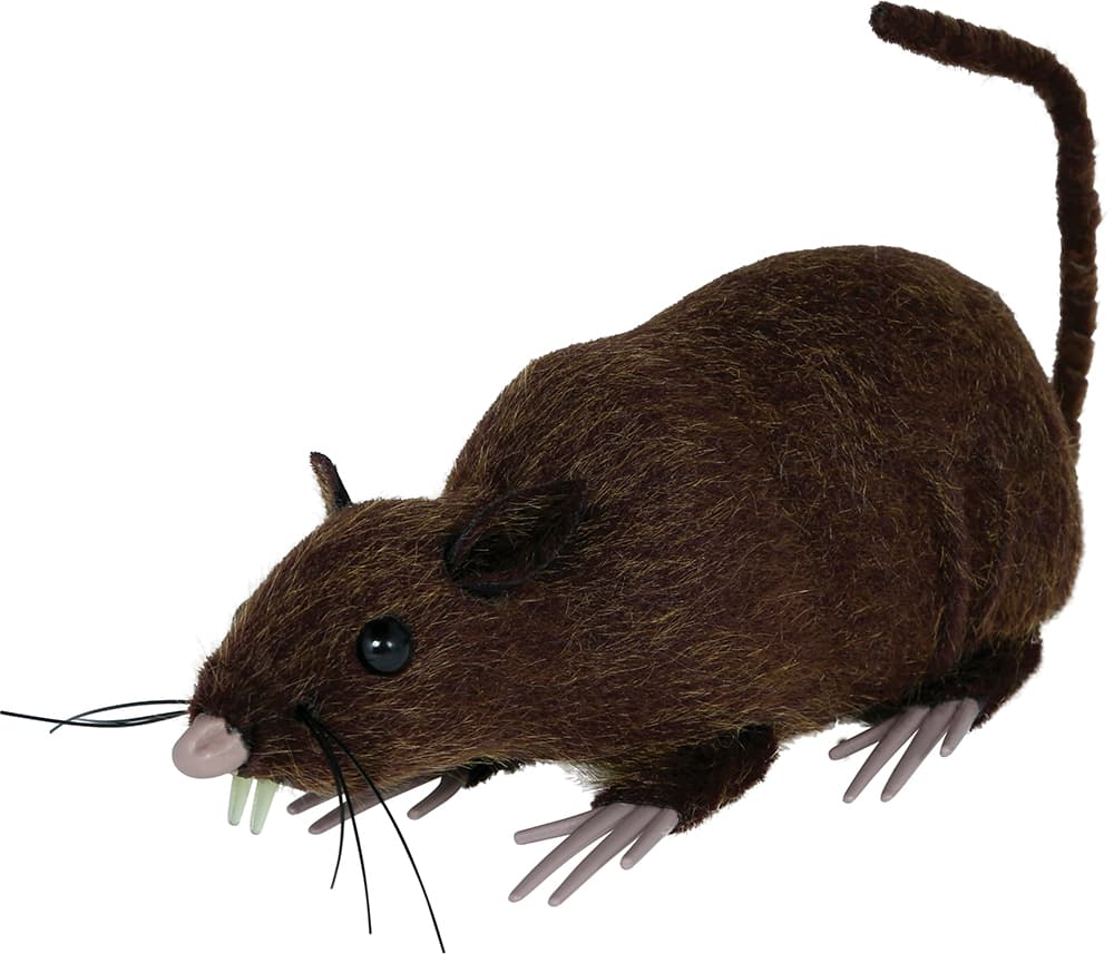 Brun rotte, 15 cm