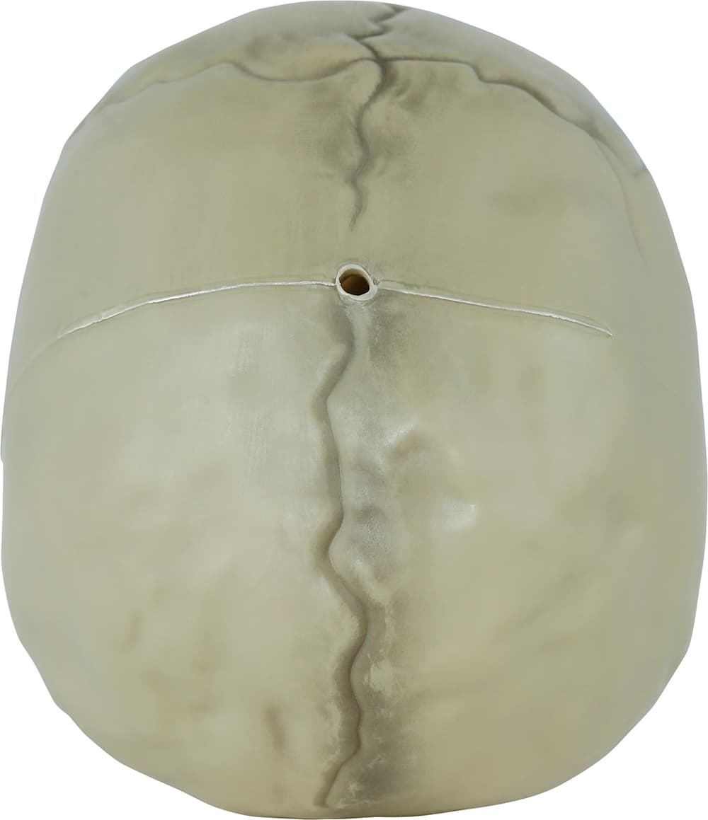Kranie, PVC, 13 cm