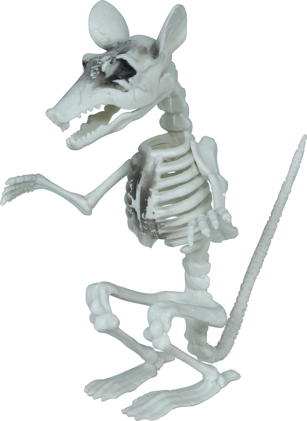 Skeletrotte, PVC, 17 cm