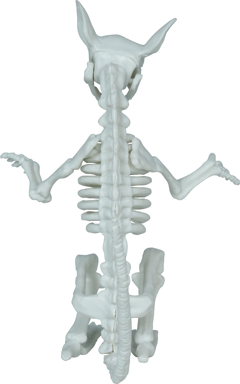 Skeletrotte, PVC, 17 cm