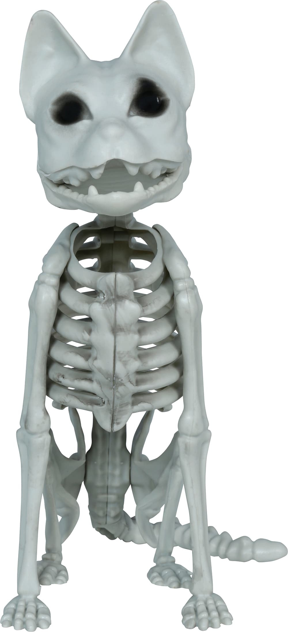 Skeletkat, PVC, 37 cm
