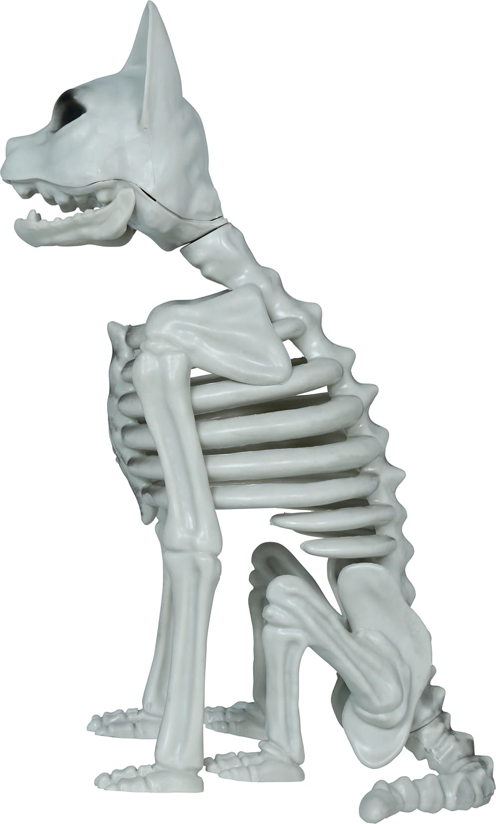 Skeletkat, PVC, 37 cm