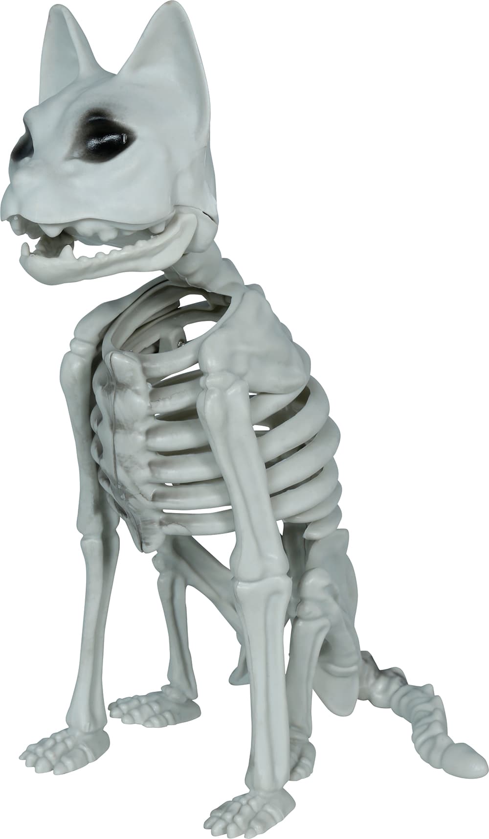 Skeletkat, PVC, 37 cm