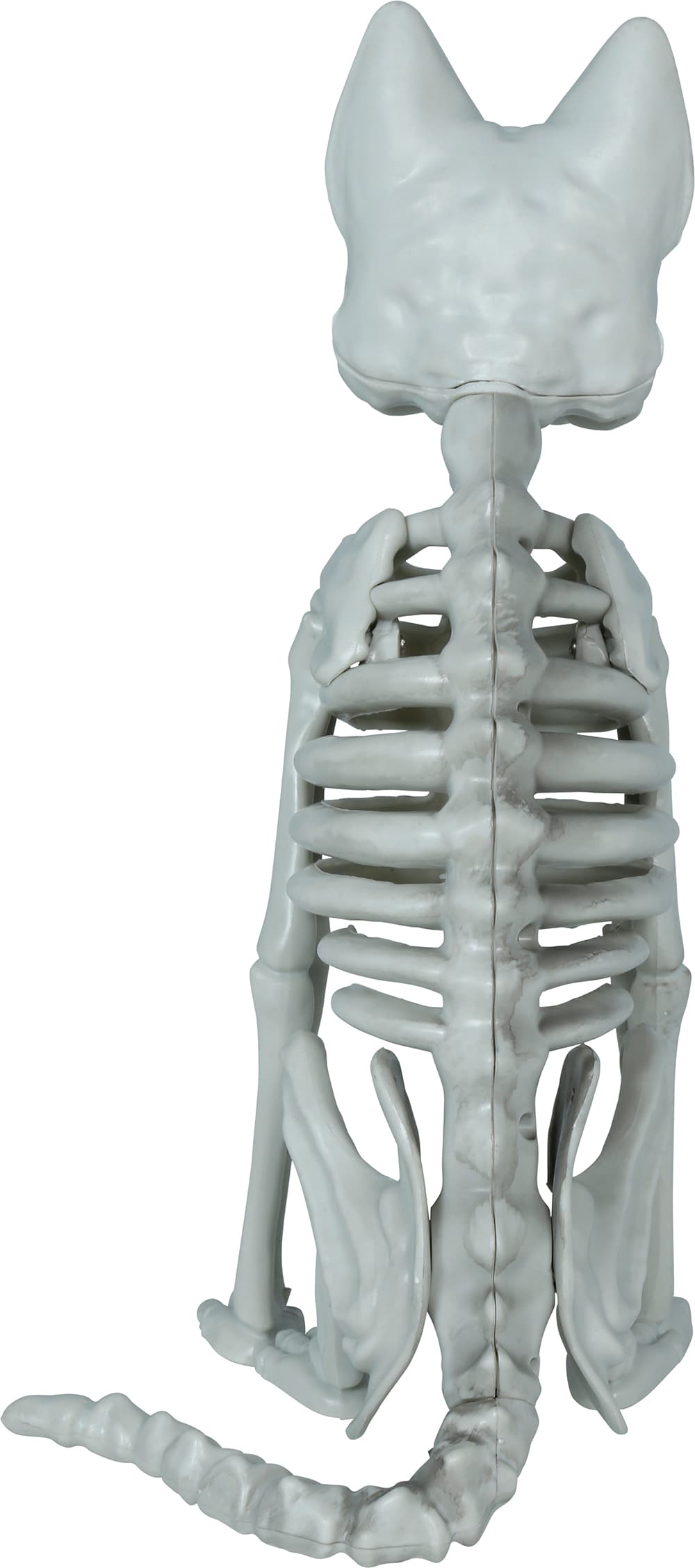 Skeletkat, PVC, 37 cm