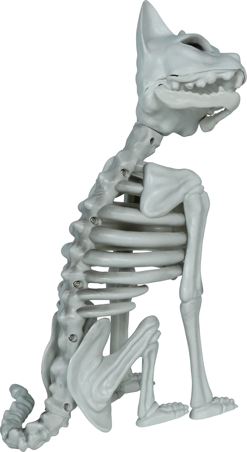 Skeletkat, PVC, 37 cm