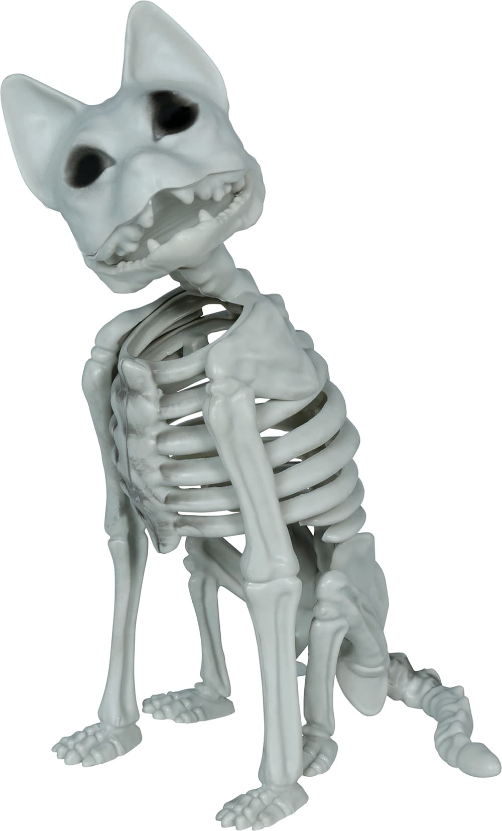 Skeletkat, PVC, 37 cm