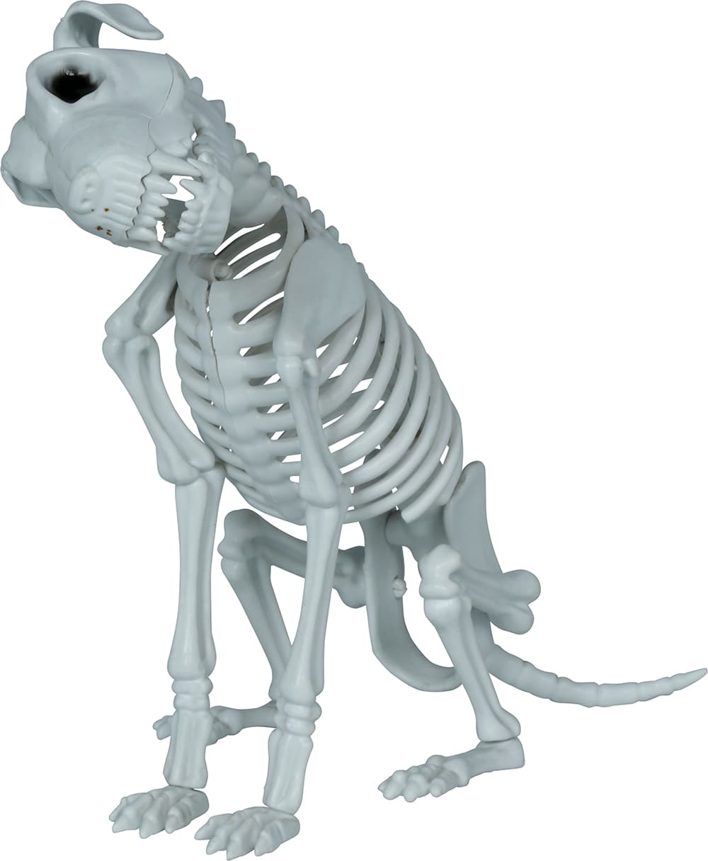 Skelethund, PVC, 38 cm