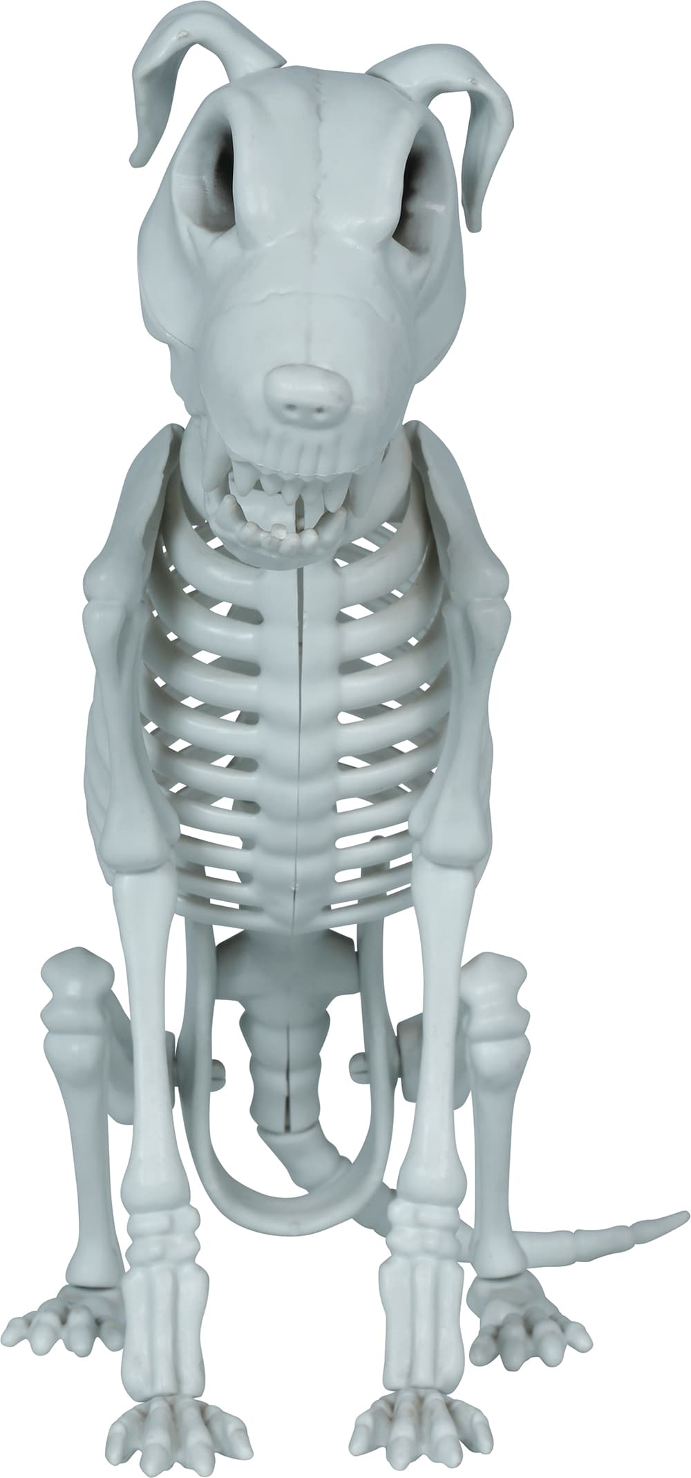 Skelethund, PVC, 38 cm