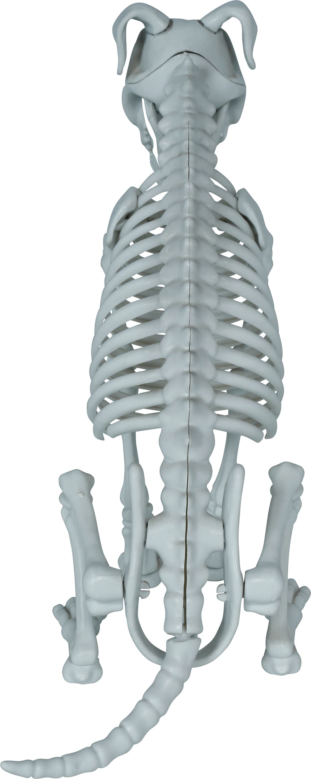 Skelethund, PVC, 38 cm