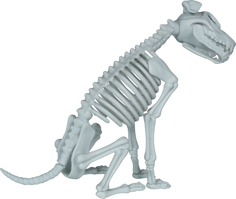 Skelethund, PVC, 38 cm