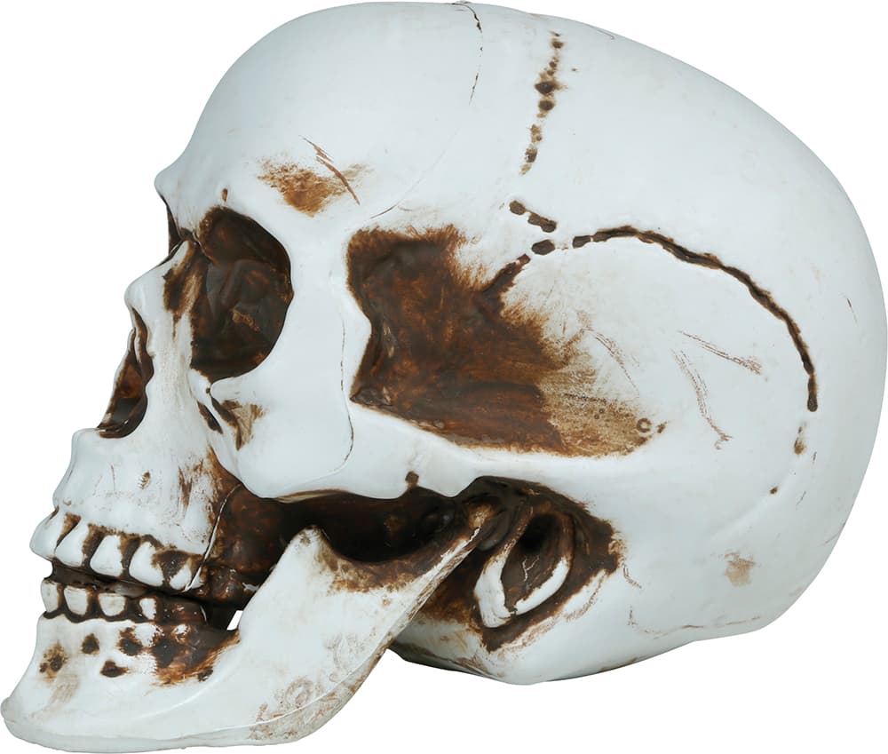 Kranie, PVC, 22 cm