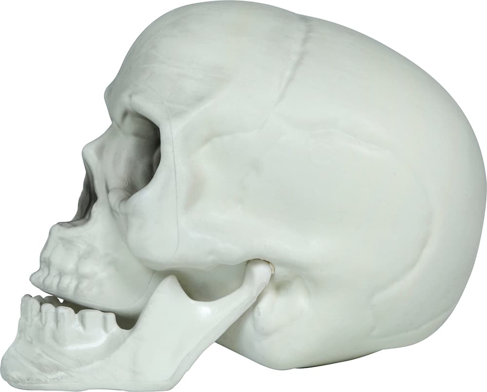 Sæt med 3 kranier, PVC, 15 cm