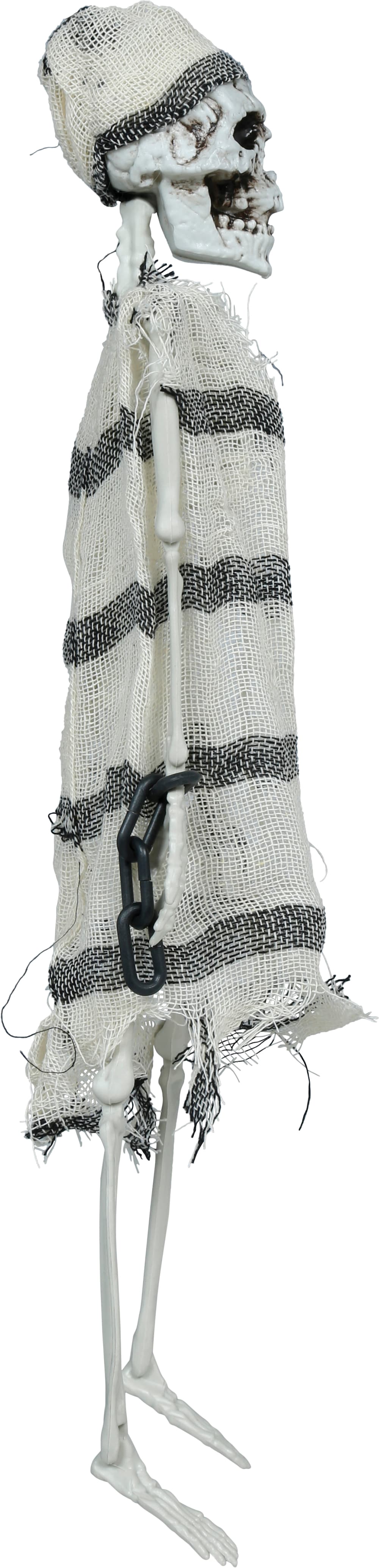Hængende fangeskelet, 46 cm