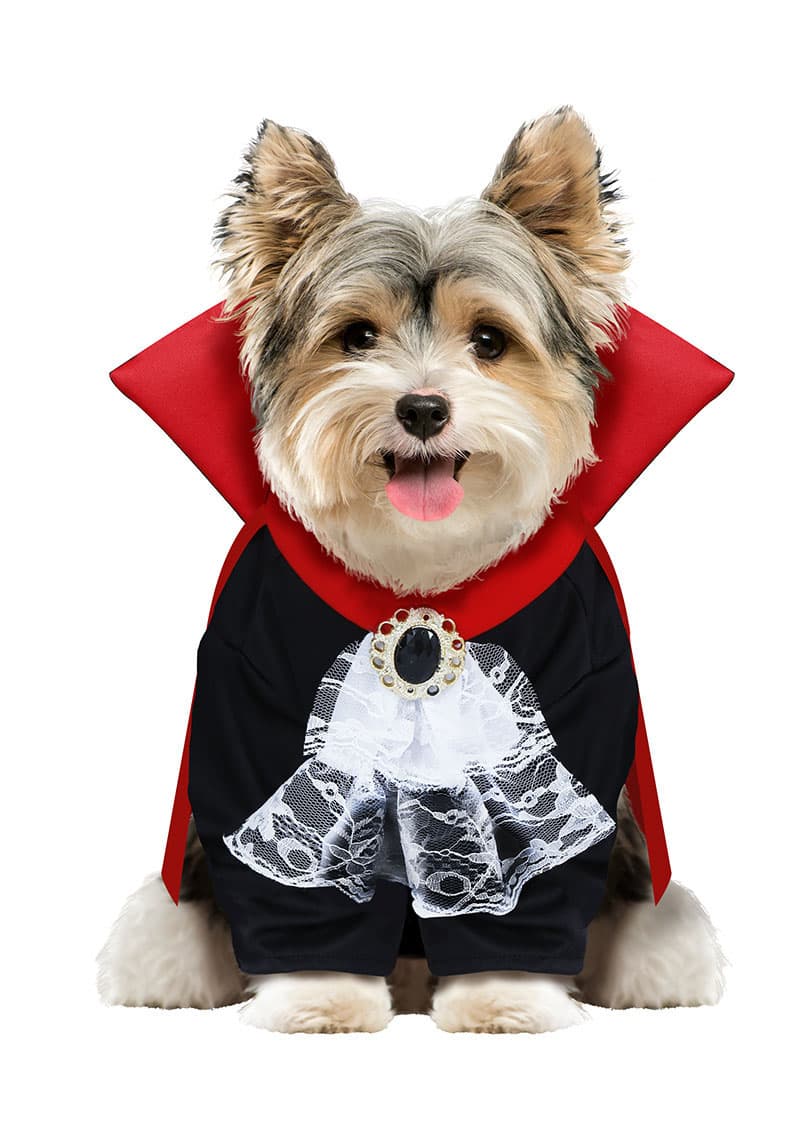 Wooferatu – kostume til hunde