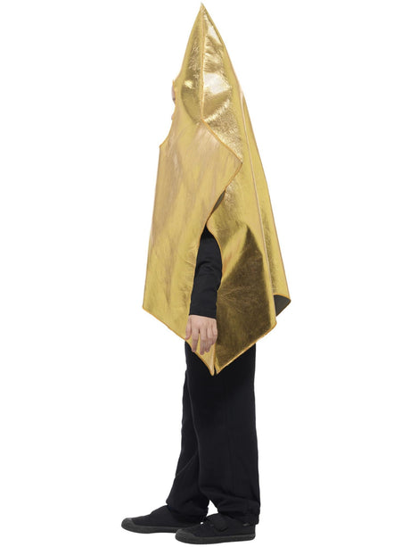 Skinnende stjernekostume